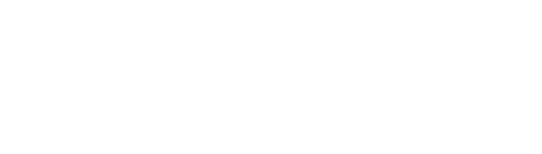 Dotcom Consulting